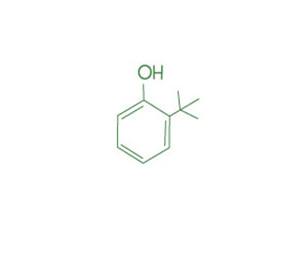 邻叔丁基苯酚